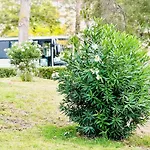 T4 شقة *