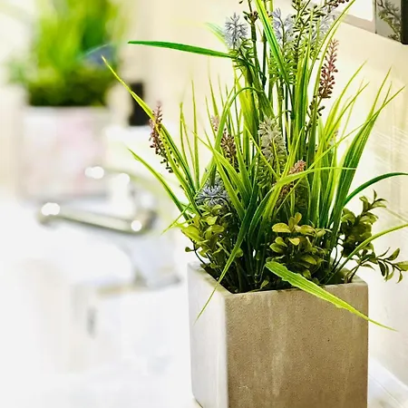 T4 Apartment Albufeira