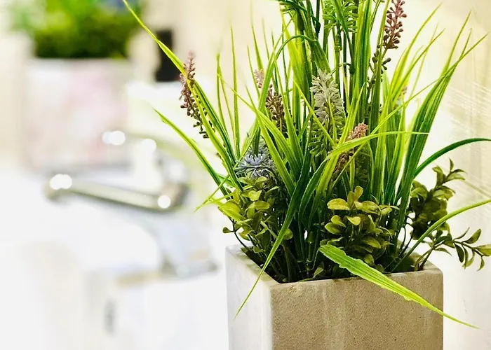 T4 Apartment Albufeira