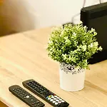 T4 Apartment *
